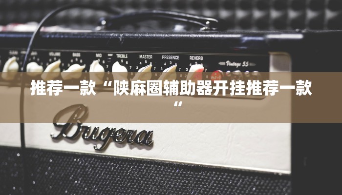 推荐一款“陕麻圈辅助器开挂推荐一款“