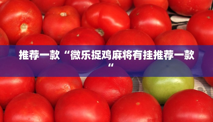 推荐一款“微乐捉鸡麻将有挂推荐一款“
