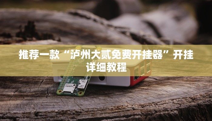 推荐一款“泸州大贰免费开挂器”开挂详细教程