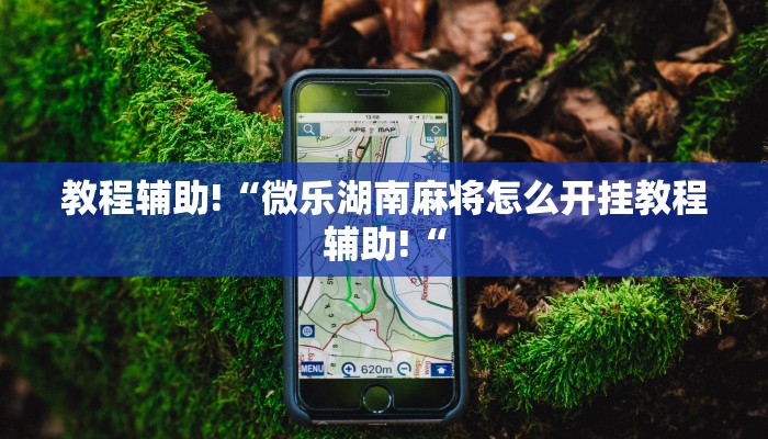 教程辅助!“微乐湖南麻将怎么开挂教程辅助!“
