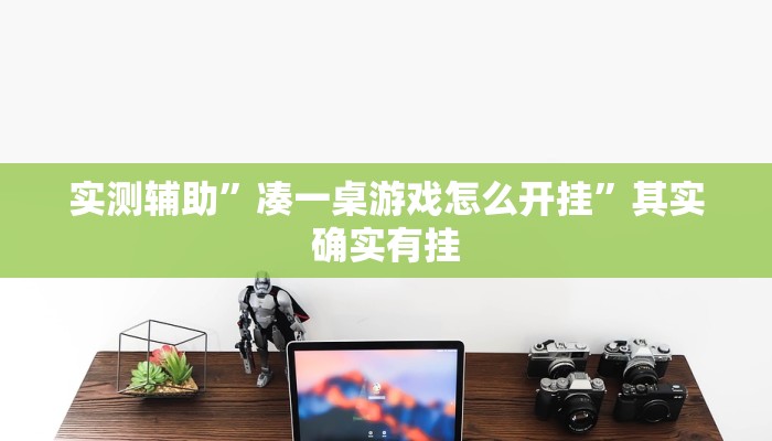 实测辅助”瓜瓜丰城通用挂”(原来确实是有挂)