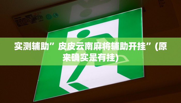 实测辅助”皮皮云南麻将辅助开挂”(原来确实是有挂)