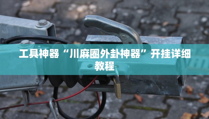工具神器“川麻圈外卦神器”开挂详细教程