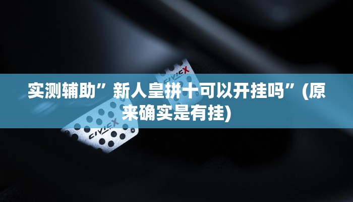 实测辅助”新人皇拼十可以开挂吗”(原来确实是有挂)
