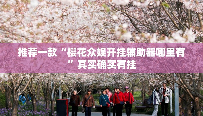 推荐一款“樱花众娱开挂辅助器哪里有”其实确实有挂