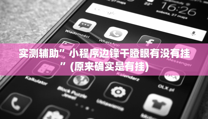 实测辅助”小程序边锋干瞪眼有没有挂”(原来确实是有挂)