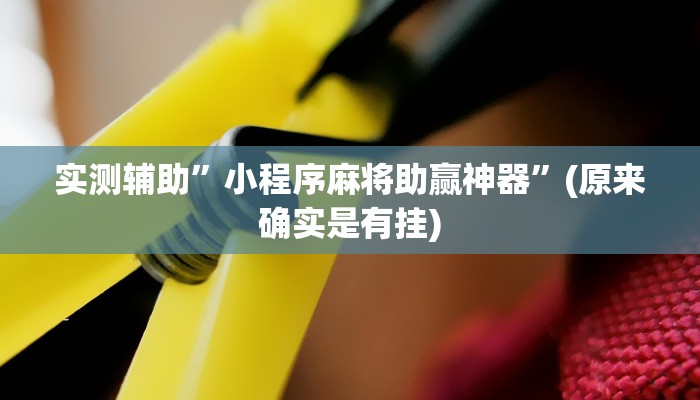 实测辅助”微乐广西麻将开挂怎么买”(原来确实是有挂)