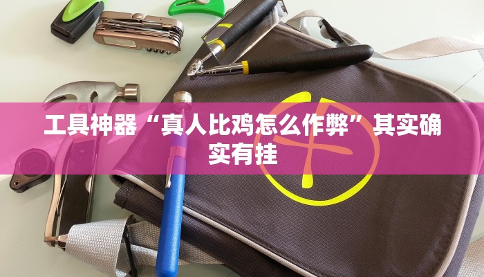 工具神器“真人比鸡怎么作弊”其实确实有挂