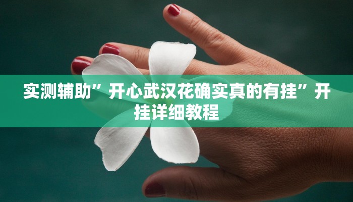 实测辅助”罗松十三张通用挂”(原来确实是有挂)