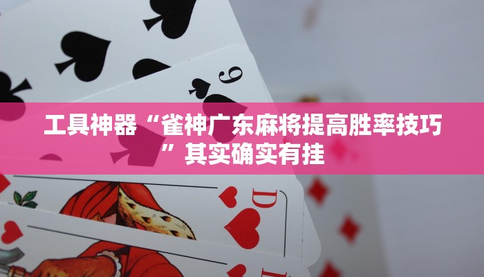 工具神器“雀神广东麻将提高胜率技巧”其实确实有挂
