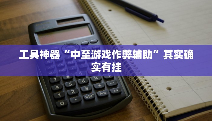 实测辅助”wepoker万能怎么开挂”(原来确实是有挂)
