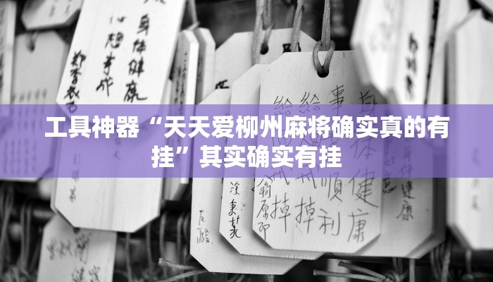 工具神器“呼包鄂游戏开挂神器”其实确实有挂