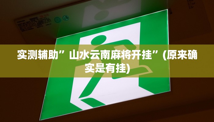 实测辅助”山水云南麻将开挂”(原来确实是有挂)