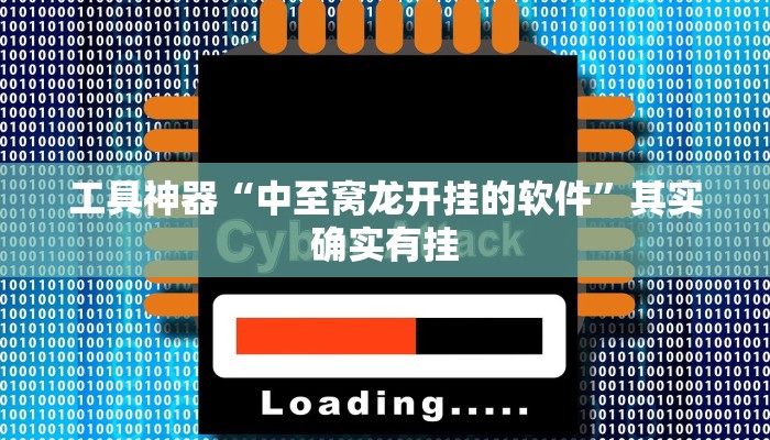 工具神器“中至窝龙开挂的软件”其实确实有挂