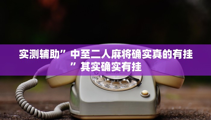 实测辅助”中至二人麻将确实真的有挂”其实确实有挂
