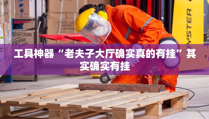 工具神器“老夫子大厅确实真的有挂”其实确实有挂