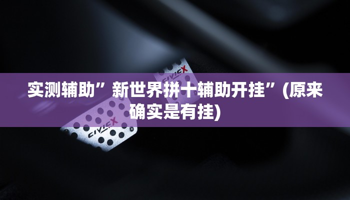 实测辅助”新世界拼十辅助开挂”(原来确实是有挂)