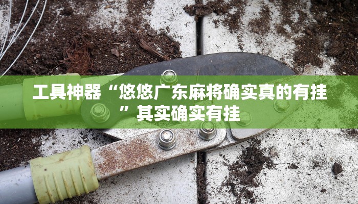 工具神器“悠悠广东麻将确实真的有挂”其实确实有挂