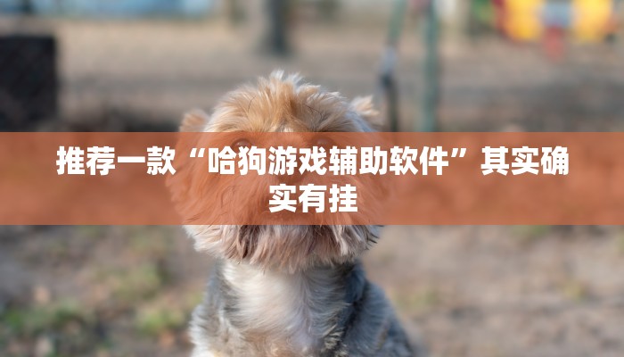 实测辅助“德州hhpoker是不是有挂“其实确实有挂
