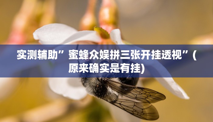实测辅助”蜜蜂众娱拼三张开挂透视”(原来确实是有挂)