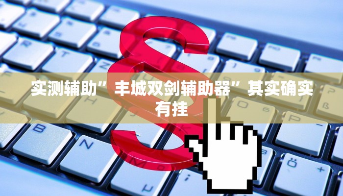 实测辅助”丰城双剑辅助器”其实确实有挂