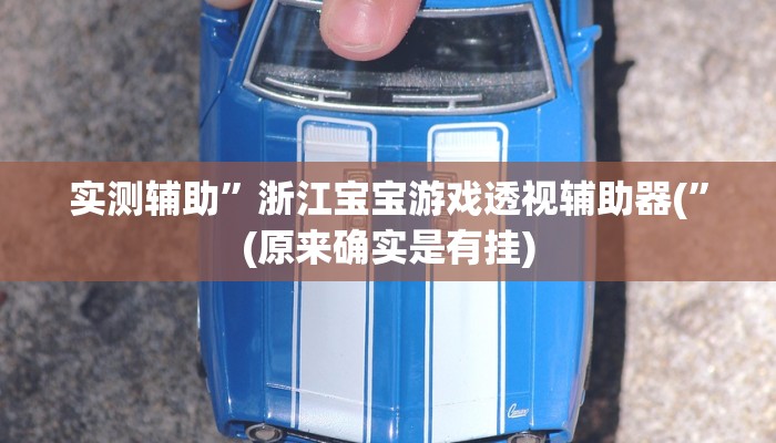 实测辅助”浙江宝宝游戏透视辅助器(”(原来确实是有挂)
