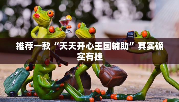 推荐一款“天天开心王国辅助”其实确实有挂