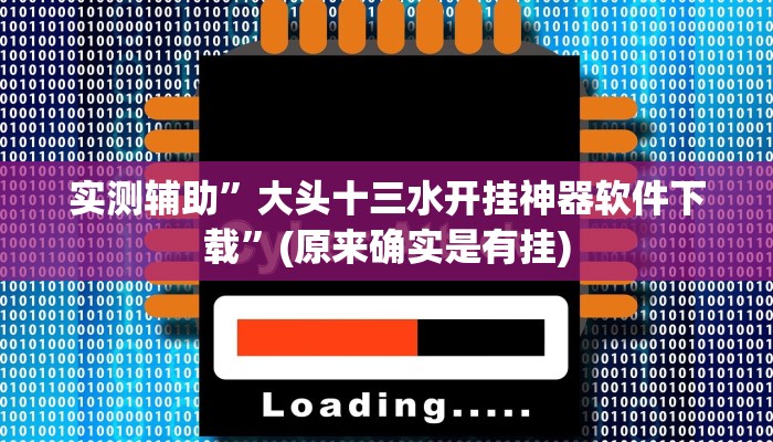 实测辅助”大头十三水开挂神器软件下载”(原来确实是有挂)