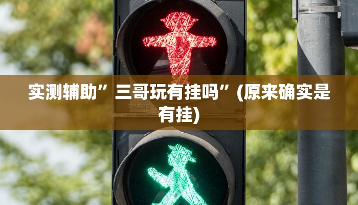 实测辅助”三哥玩有挂吗”(原来确实是有挂)
