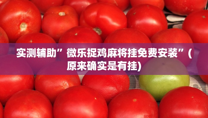 实测辅助”微乐捉鸡麻将挂免费安装”(原来确实是有挂)