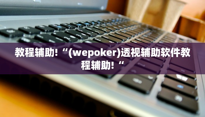 教程辅助!“(wepoker)透视辅助软件教程辅助!“