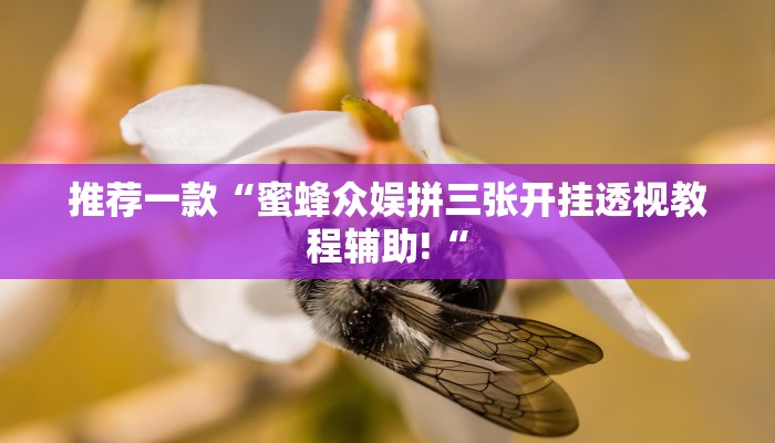 推荐一款“蜜蜂众娱拼三张开挂透视教程辅助!“