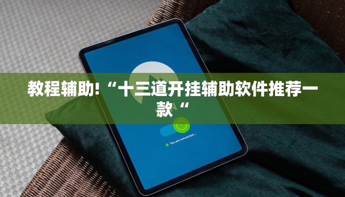 教程辅助!“十三道开挂辅助软件推荐一款“