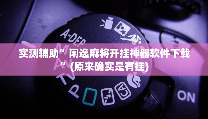实测辅助”闲逸麻将开挂神器软件下载”(原来确实是有挂)