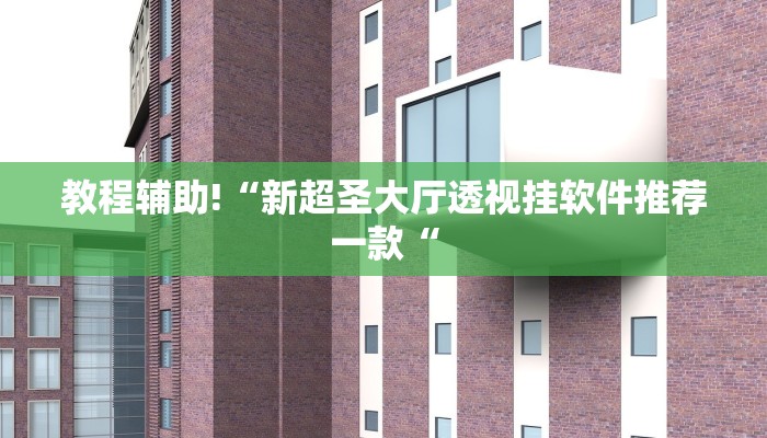 教程辅助!“新超圣大厅透视挂软件推荐一款“