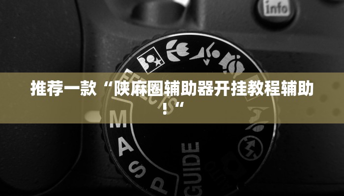 推荐一款“陕麻圈辅助器开挂教程辅助!“