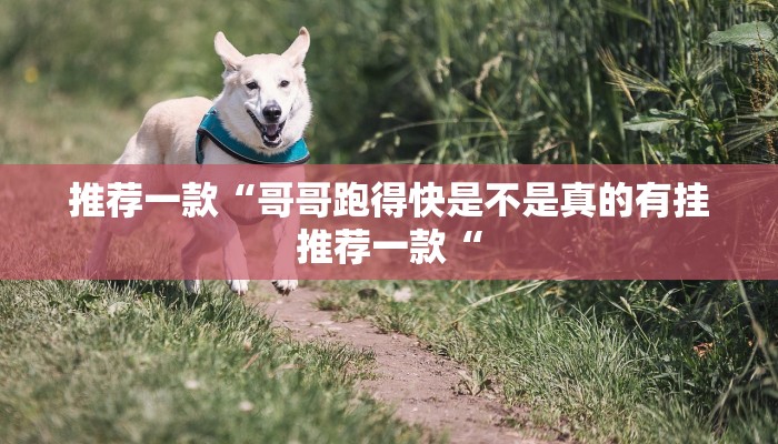 推荐一款“哥哥跑得快是不是真的有挂推荐一款“