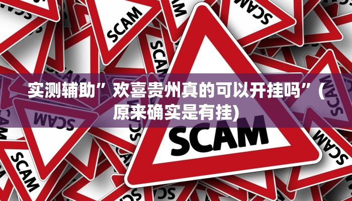 实测辅助”欢喜贵州真的可以开挂吗”(原来确实是有挂)