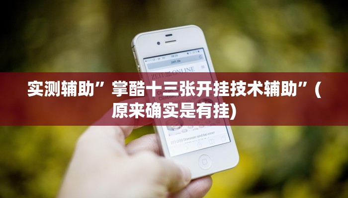 实测辅助”掌酷十三张开挂技术辅助”(原来确实是有挂)