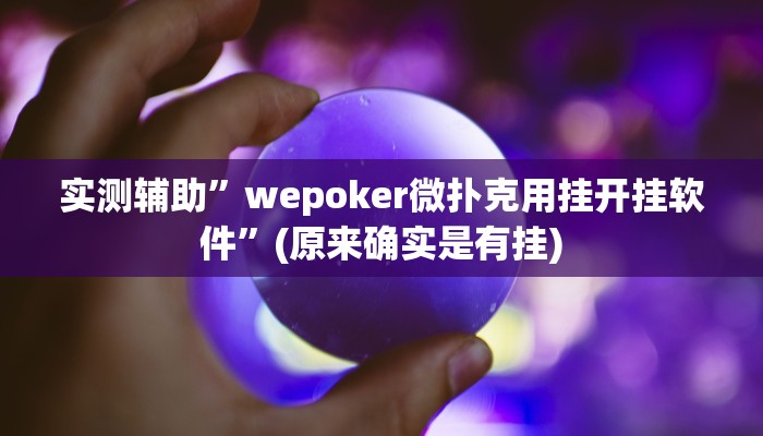 实测辅助”wepoker微扑克用挂开挂软件”(原来确实是有挂)