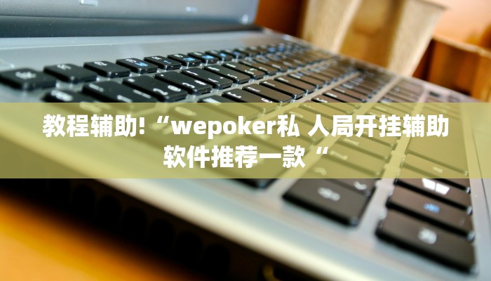 教程辅助!“wepoker私 人局开挂辅助软件推荐一款“