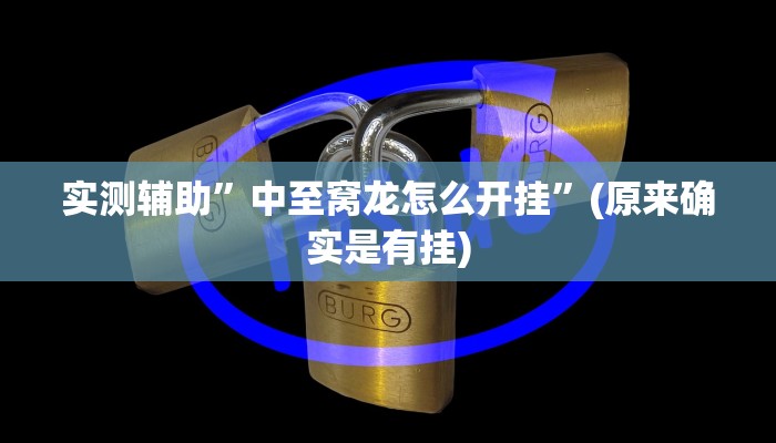 实测辅助”中至窝龙怎么开挂”(原来确实是有挂)