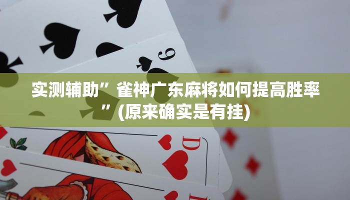 实测辅助”雀神广东麻将如何提高胜率”(原来确实是有挂)