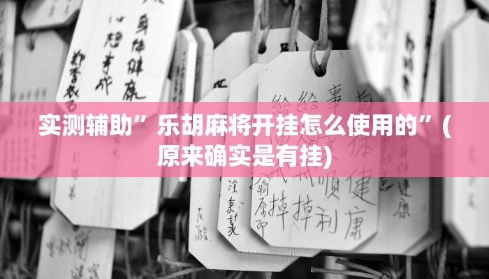 实测辅助”乐胡麻将开挂怎么使用的”(原来确实是有挂)
