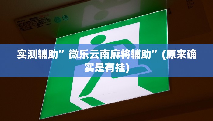推荐一款“皮皮湖南麻将开挂神器”其实确实有挂