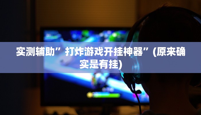 实测辅助”打炸游戏开挂神器”(原来确实是有挂)