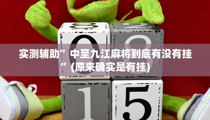 实测辅助”中至九江麻将到底有没有挂”(原来确实是有挂)