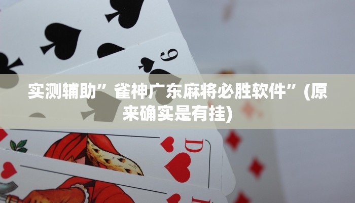 实测辅助”雀神广东麻将必胜软件”(原来确实是有挂)