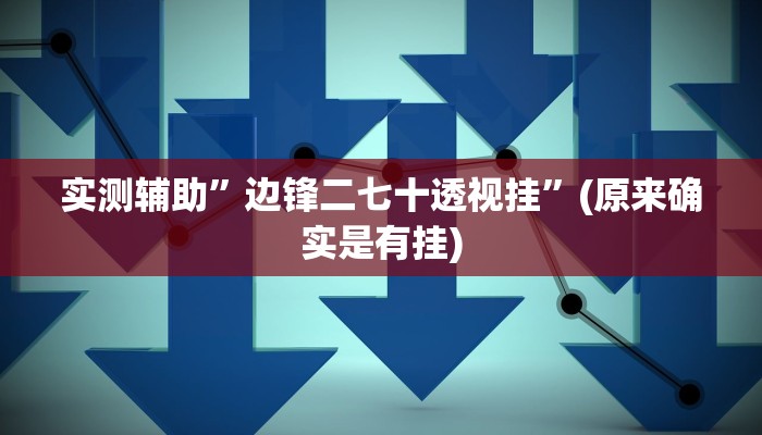 实测辅助”边锋二七十透视挂”(原来确实是有挂)