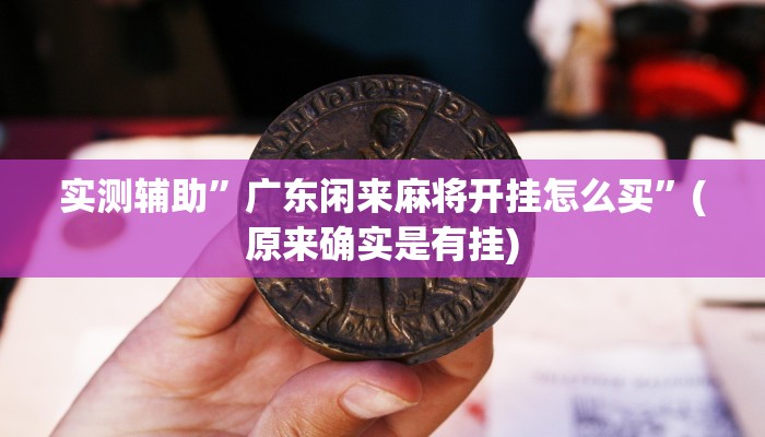 实测辅助”广东闲来麻将开挂怎么买”(原来确实是有挂)